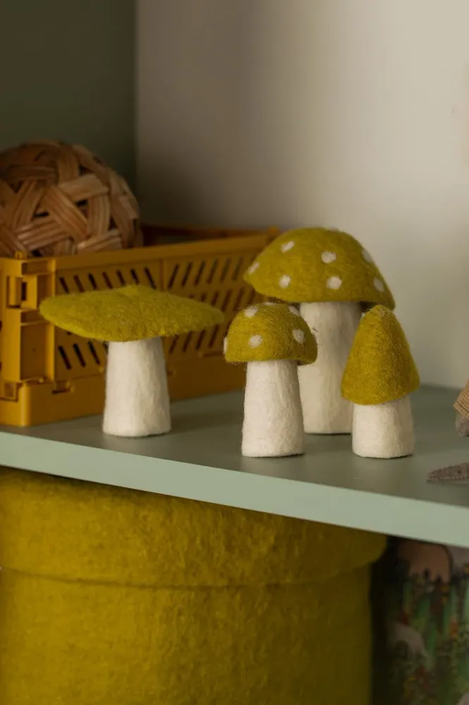 Morel - Chartreuse MUSKHANE