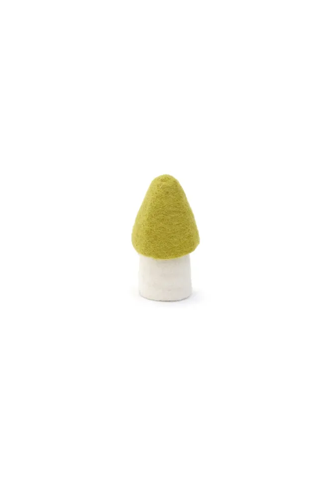 Morel - Chartreuse MUSKHANE