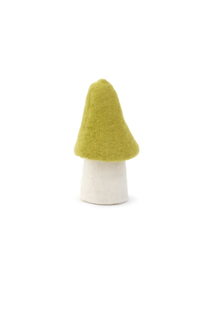Morel - Chartreuse MUSKHANE