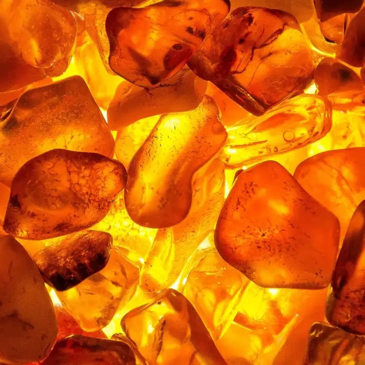 Fragancia Candle Science - EOL - Amber Element – Elemento de Ámbar - Importado de USA My Store
