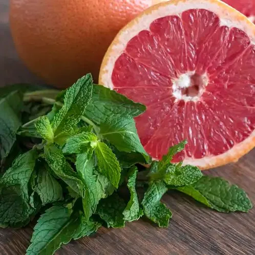 Fragancia Candle Science - Grapefruit and Mint – Toronja y Menta - Importado de USA My Store