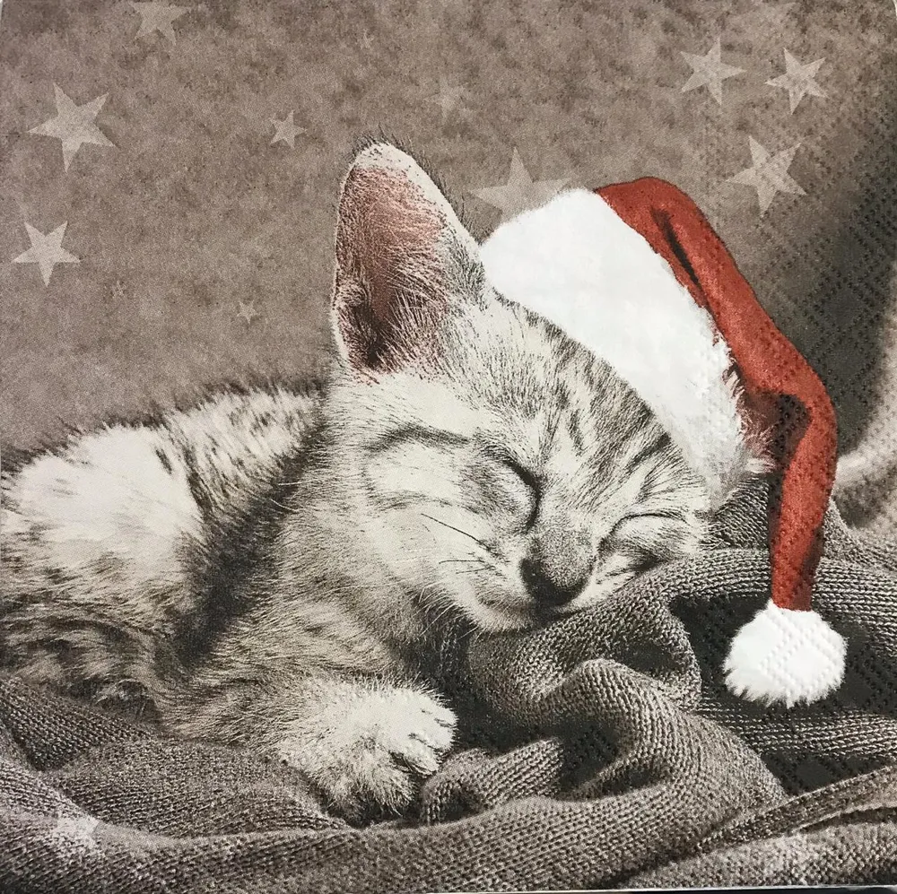 NAVIDAD 184