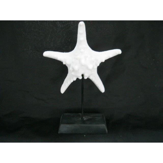 ADORNO DE ESTRELLA DE MAR Ninguno