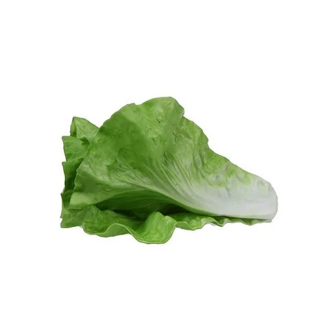 VEGETAL ARTIFICIAL (LECHUGA) Ninguno