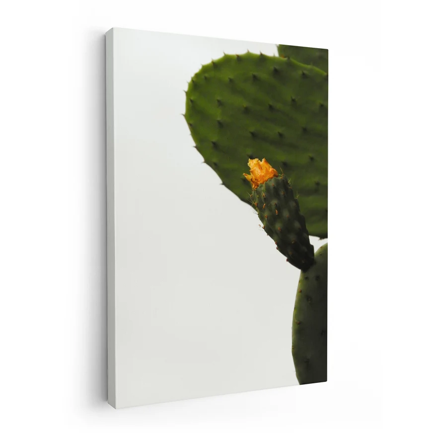 Nopal con Fruto y Flor Poster