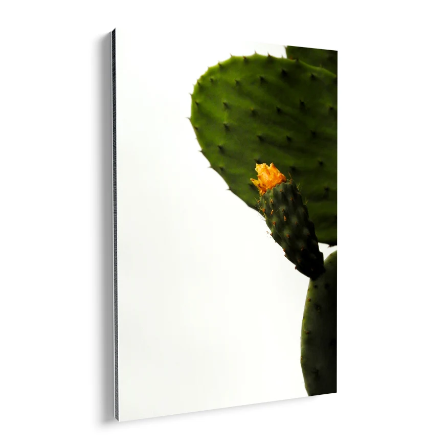Nopal con Fruto y Flor Poster