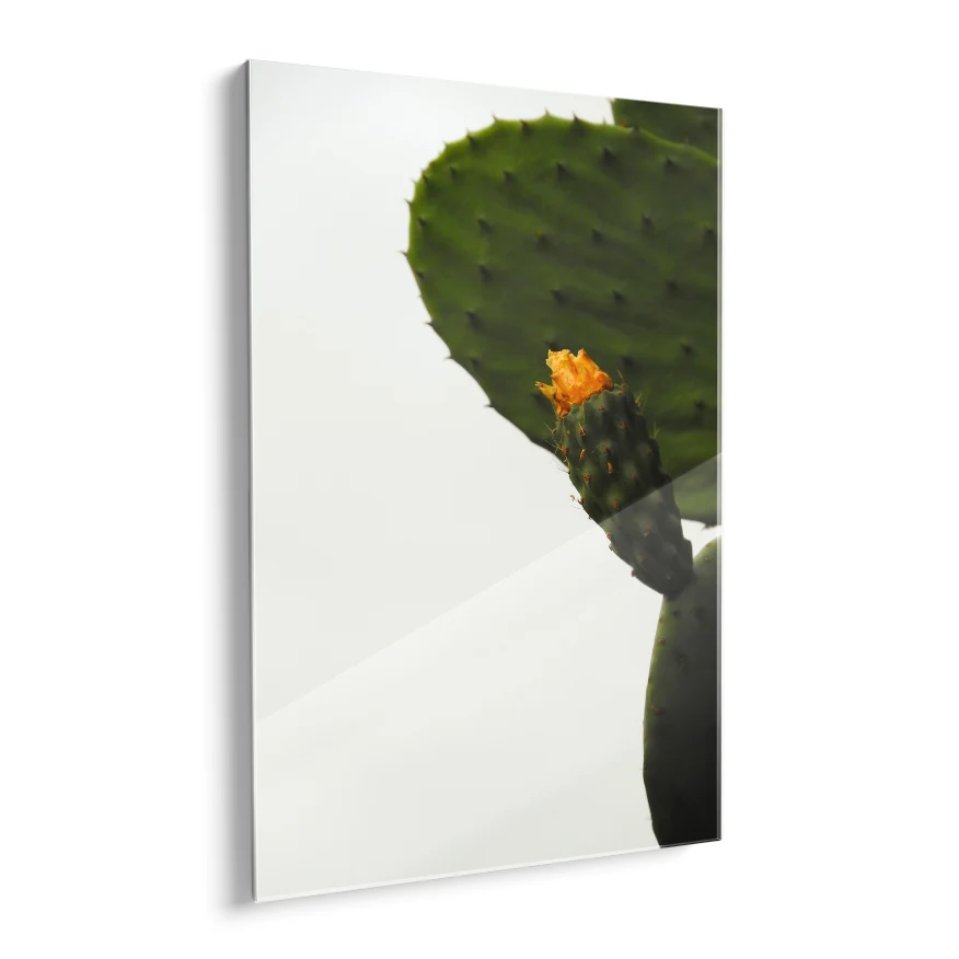 Nopal con Fruto y Flor Poster