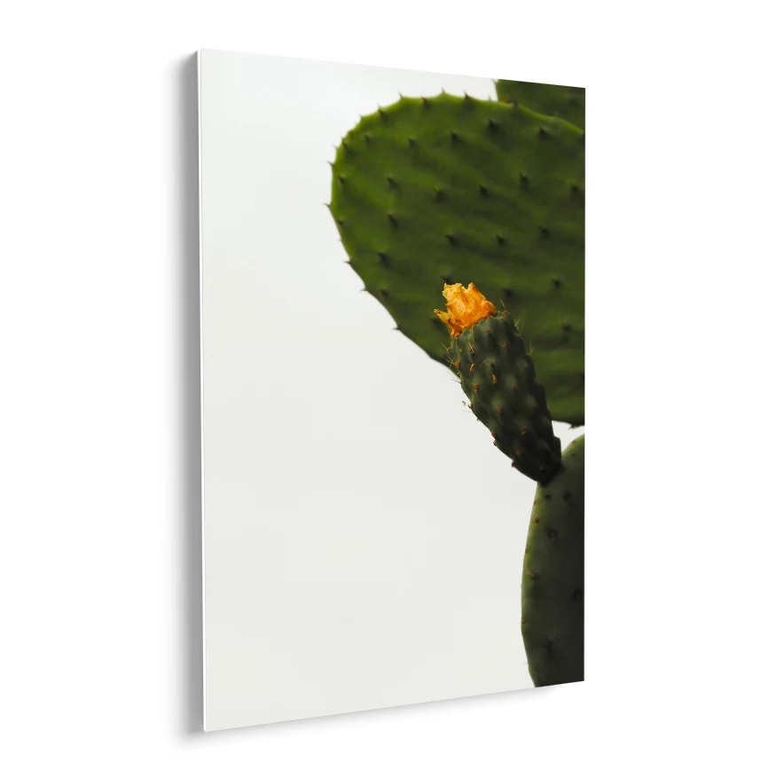 Nopal con Fruto y Flor Poster