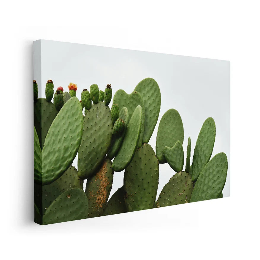 Nopales Poster
