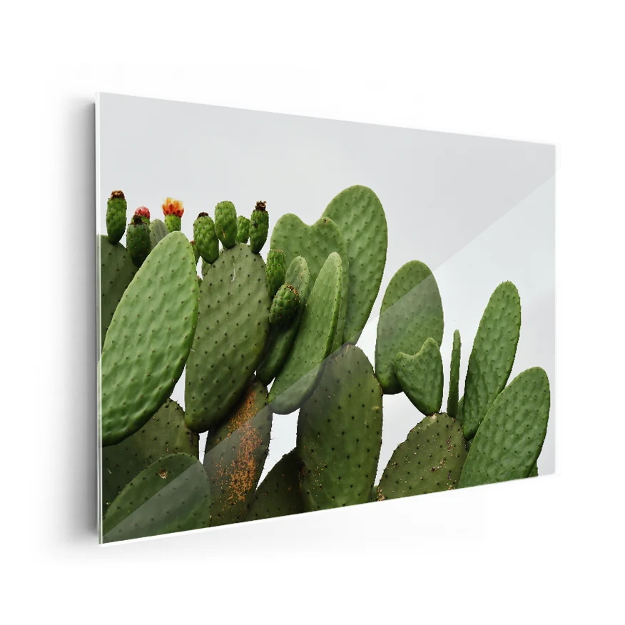 Nopales Poster
