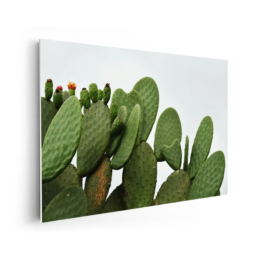Nopales Poster