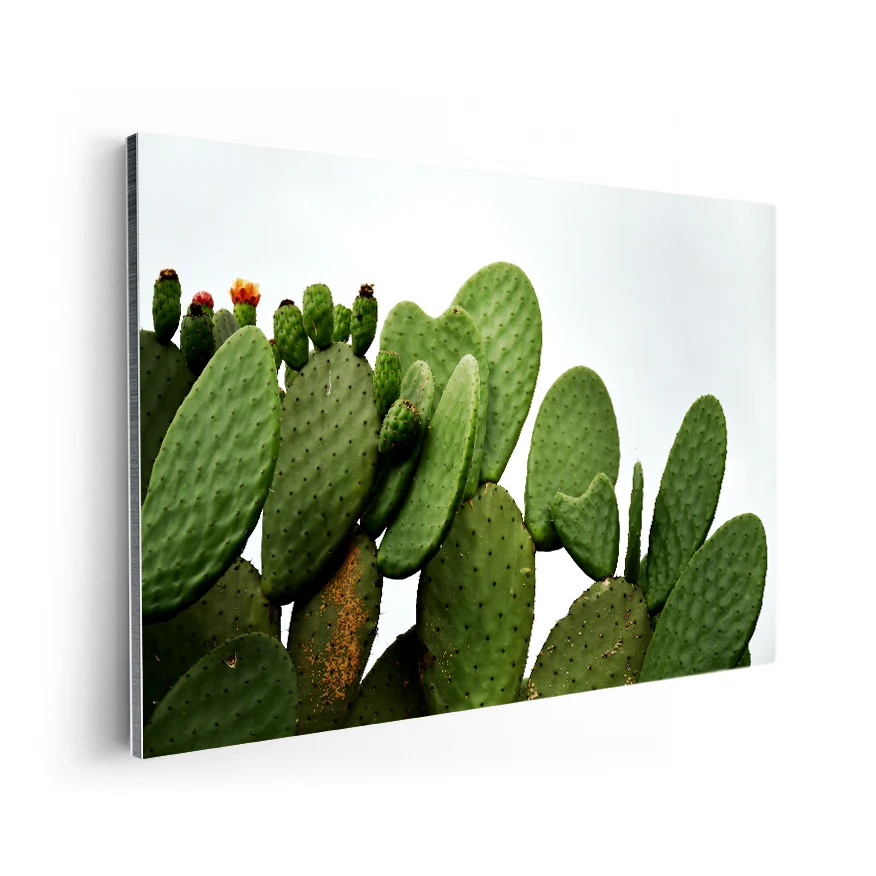 Nopales Poster