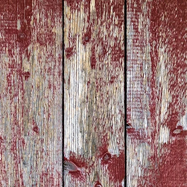 PAPEL MURAL - WOODS 29