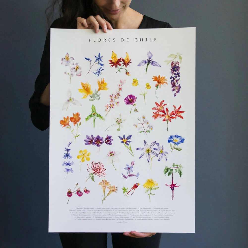 Lámina Flores de Chile Pedraza Ilustración