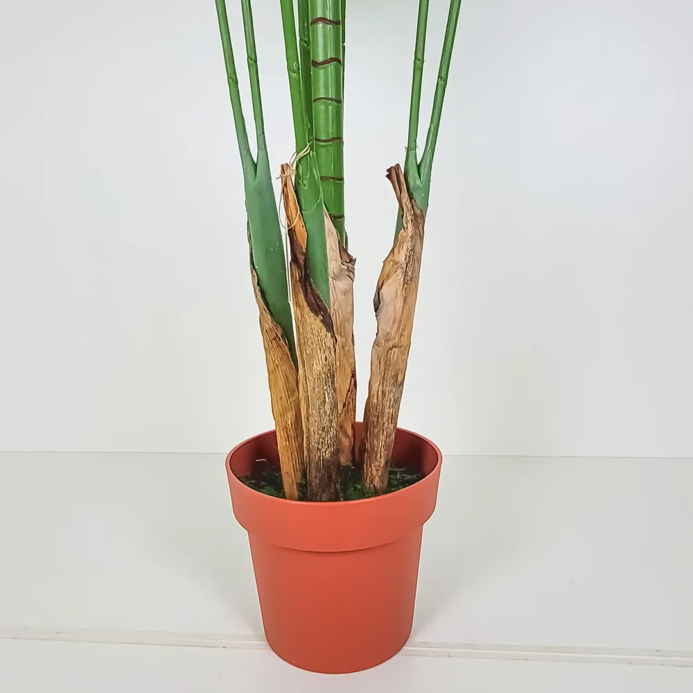 Planta Kentya 196 cm Petra Decora