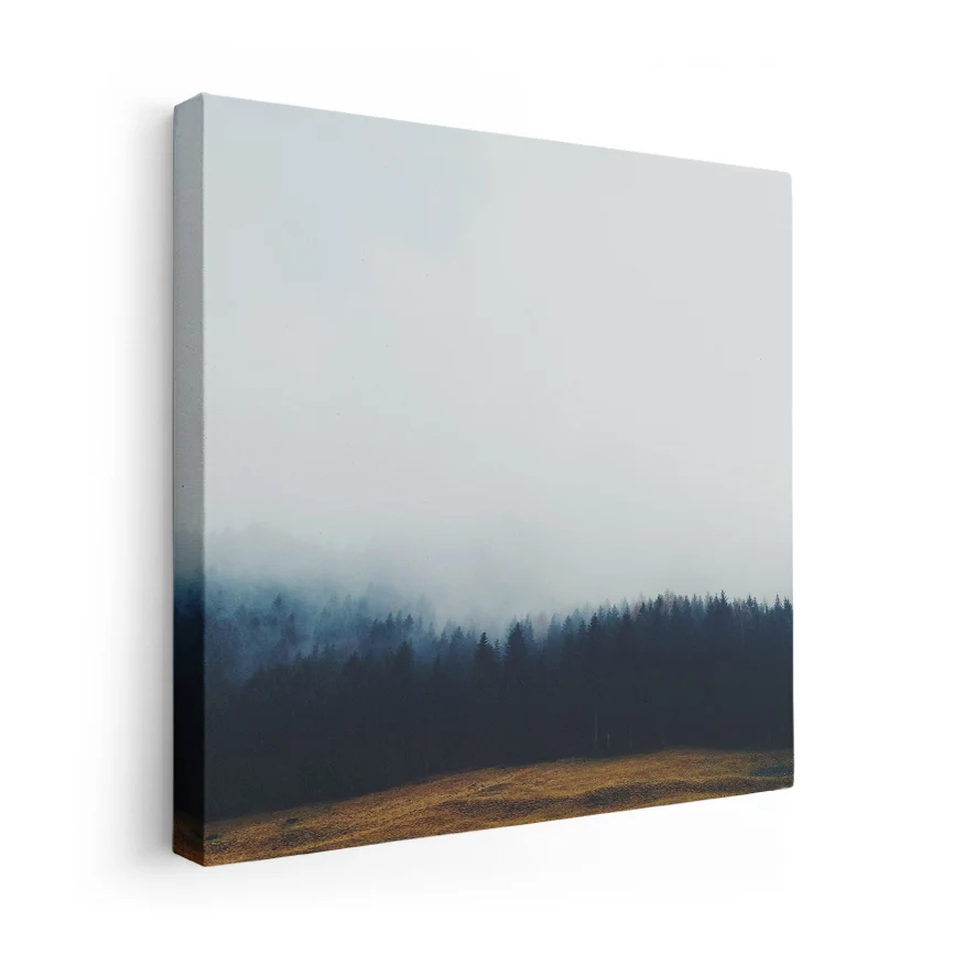 Pinos con Neblina Poster