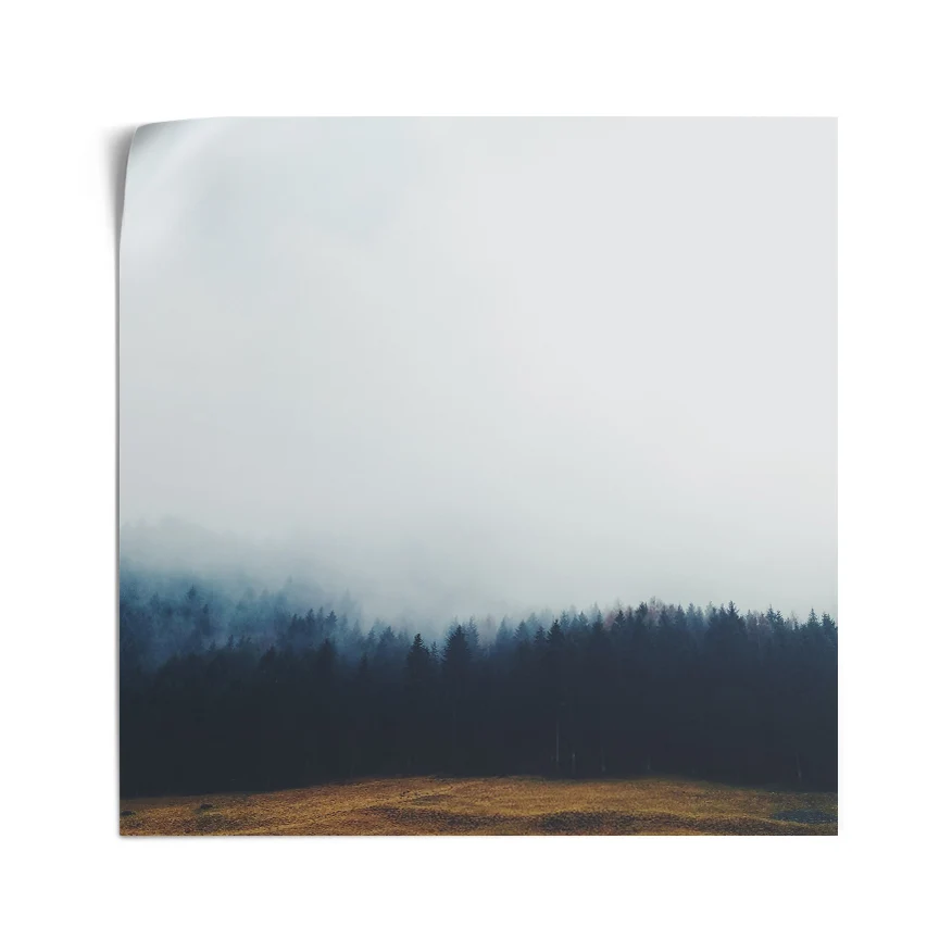 Pinos con Neblina Poster