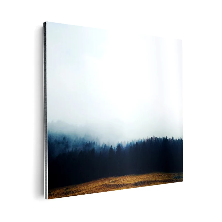 Pinos con Neblina Poster