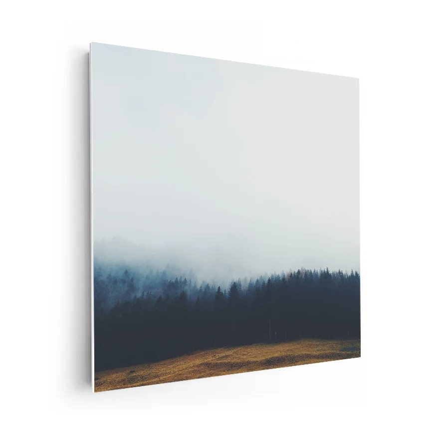 Pinos con Neblina Poster