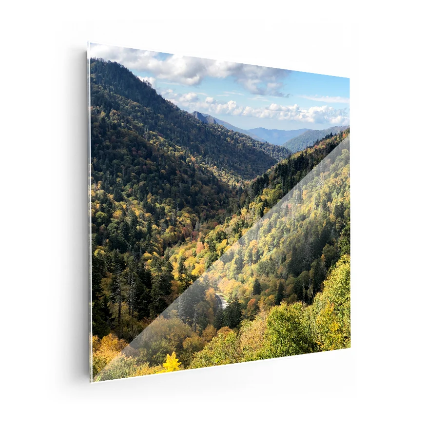 Pinos en la Montañ Poster