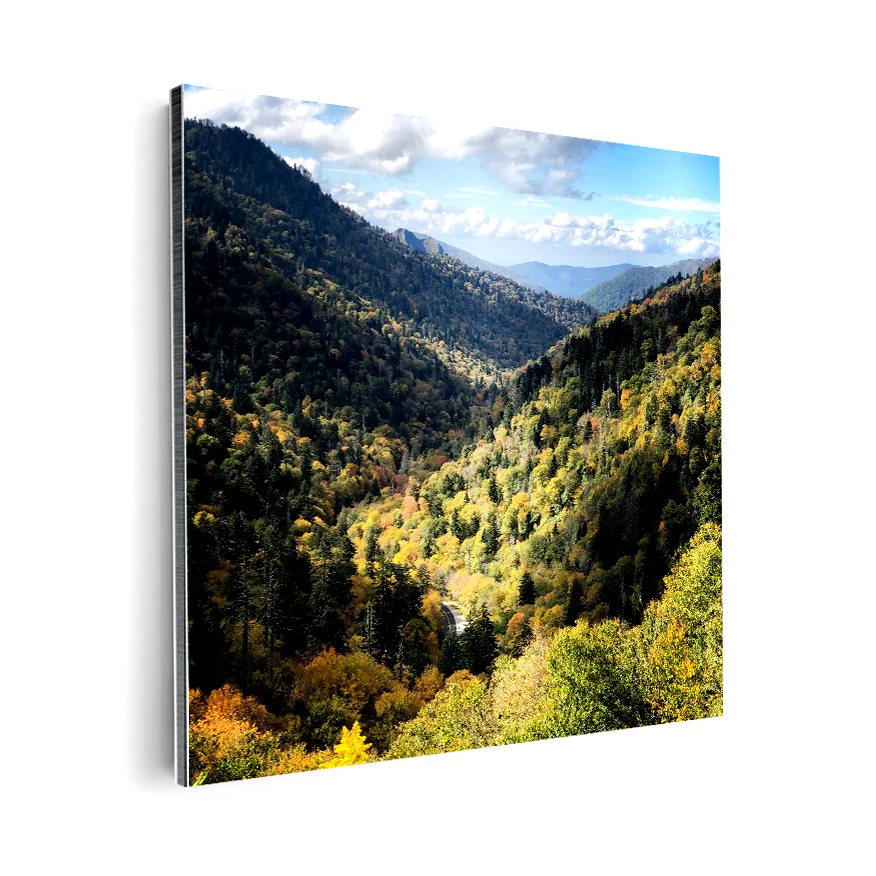Pinos en la Montañ Poster