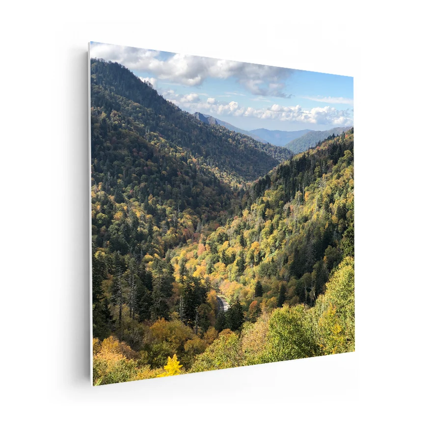 Pinos en la Montañ Poster