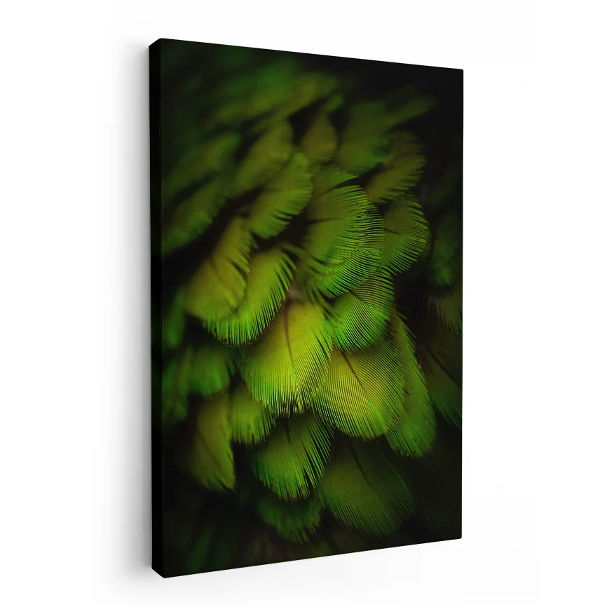 Plumas Verdes Poster