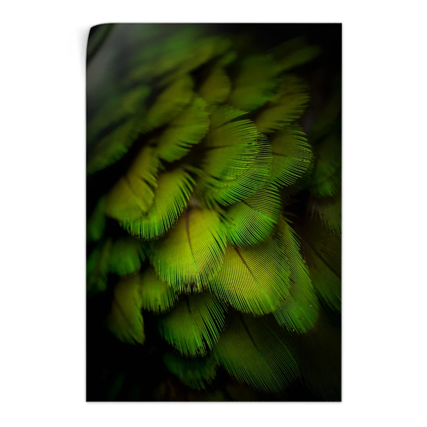 Plumas Verdes Poster