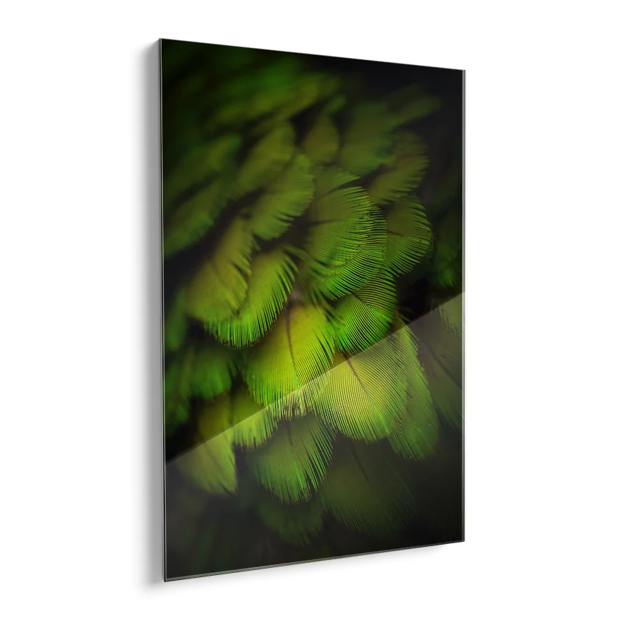 Plumas Verdes Poster