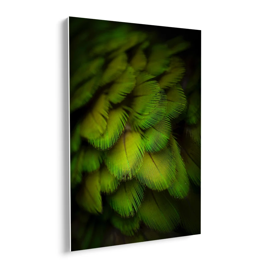 Plumas Verdes Poster