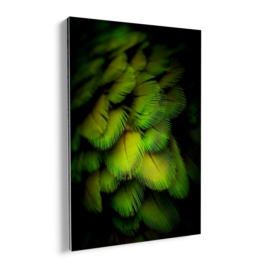 Plumas Verdes Poster