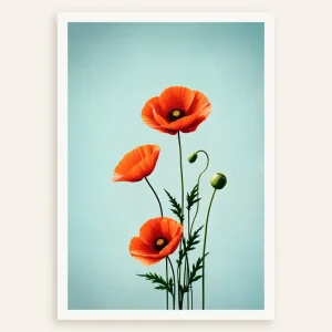 Amapolas 02 - Póster Posterscape Creative Studio
