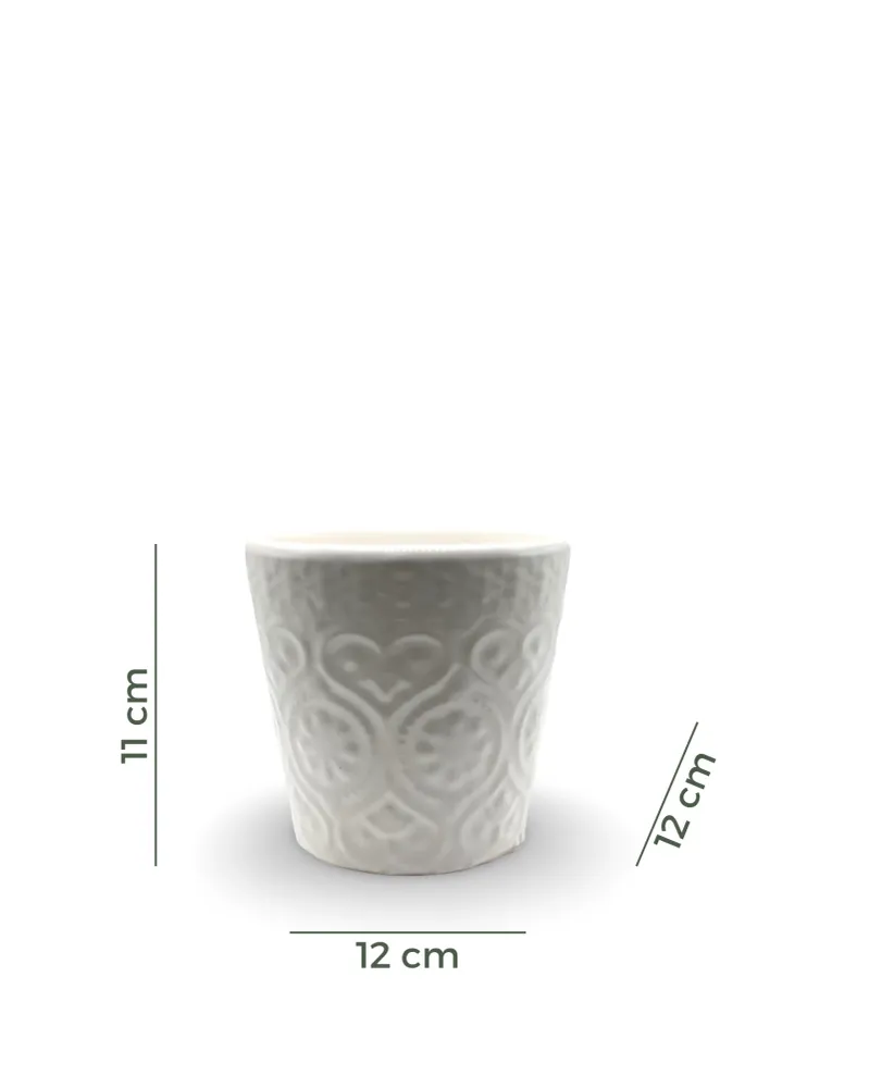 Maceta de cerámica chica Maca Pot & Decor