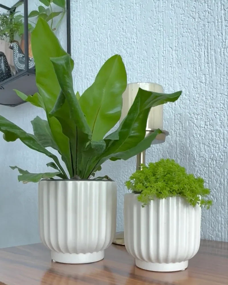 Set de macetas de cerámica Bela Pot & Decor