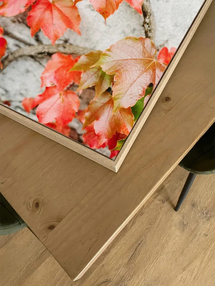 Fall Colored Leaves Raisa Zwart