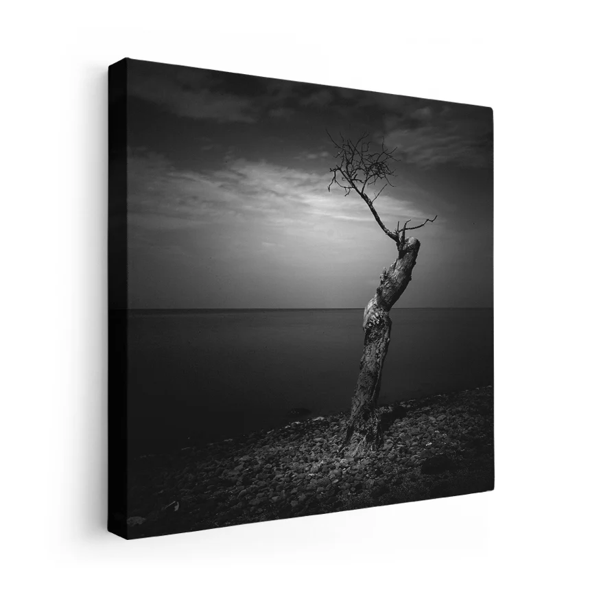 Árbol Solitario Poster