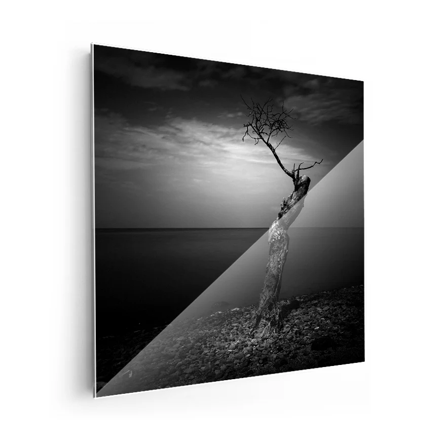 Árbol Solitario Poster