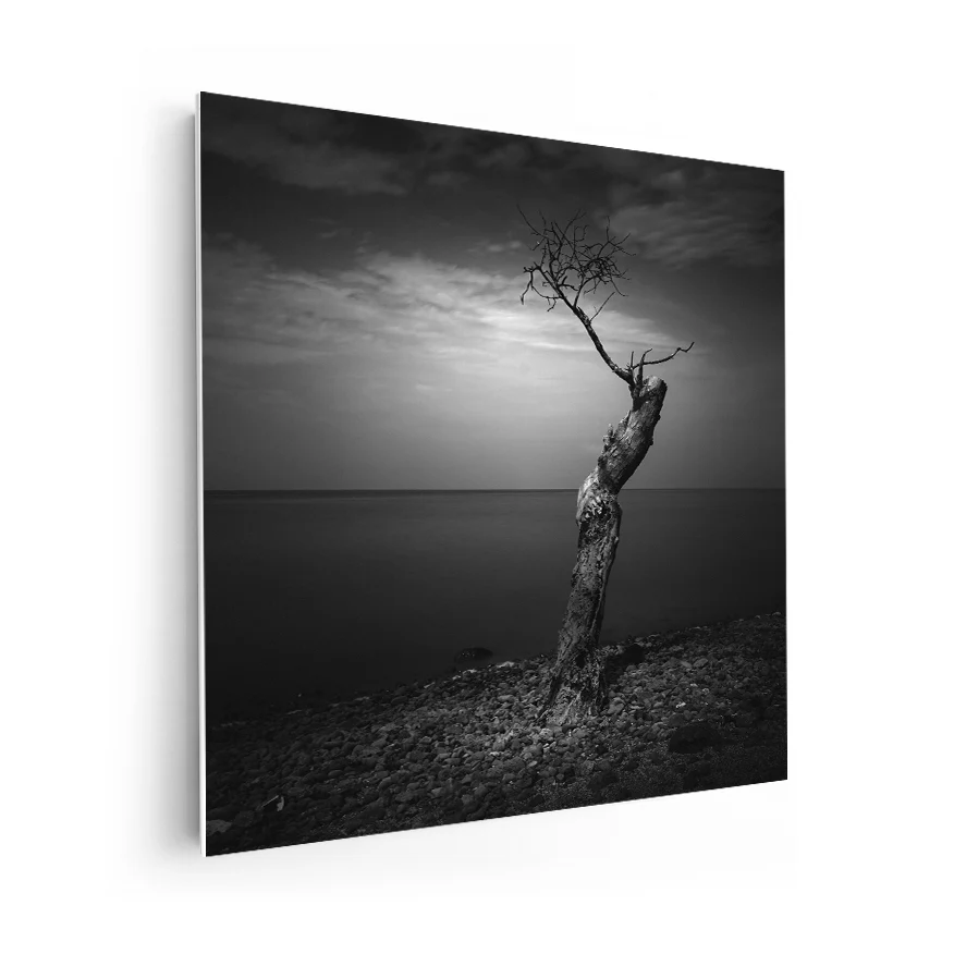 Árbol Solitario Poster
