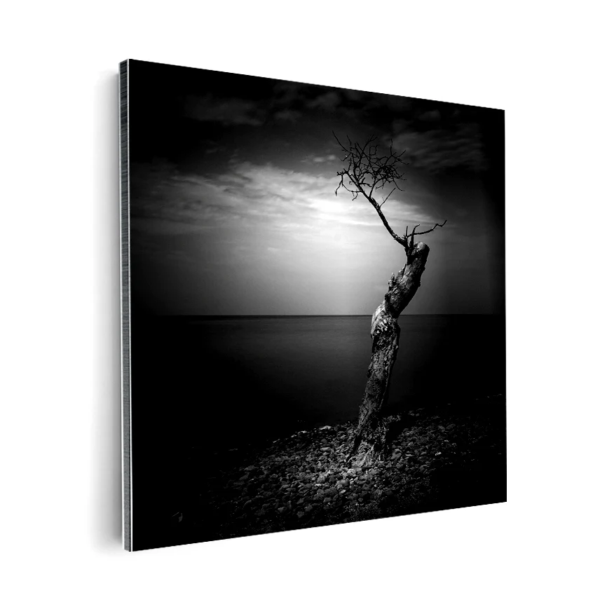 Árbol Solitario Poster
