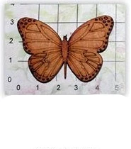 REF: 300101220 Mariposa redonda
