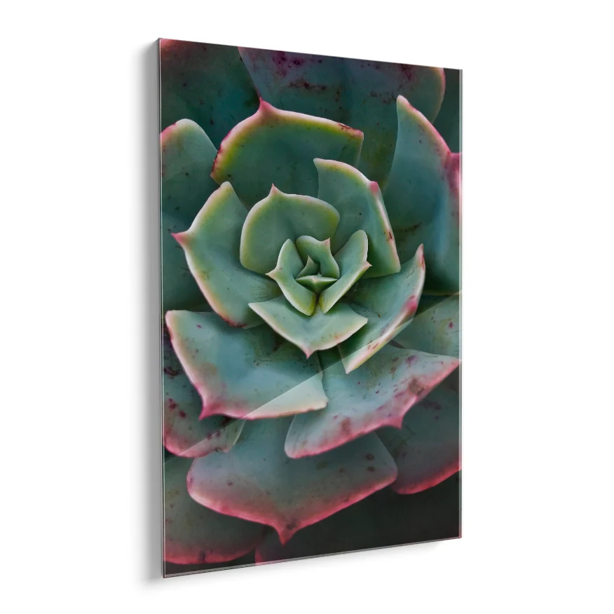 Rosa del Mármol Poster