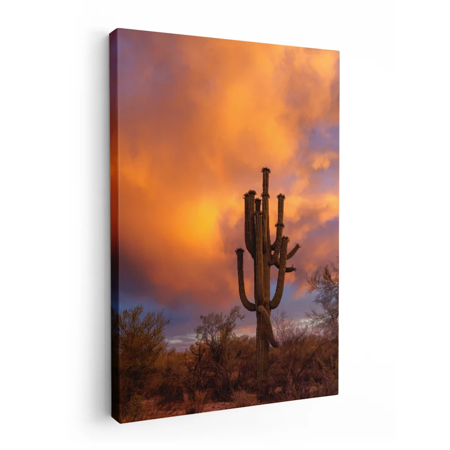 Saguaro al Atardecer Poster