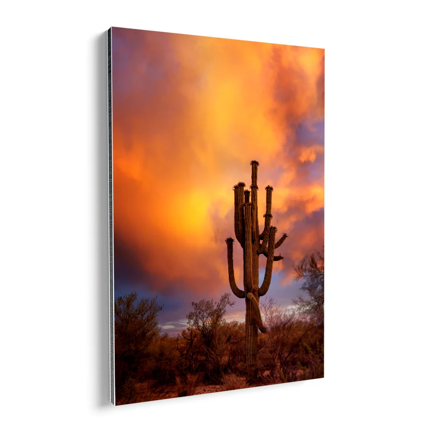 Saguaro al Atardecer Poster