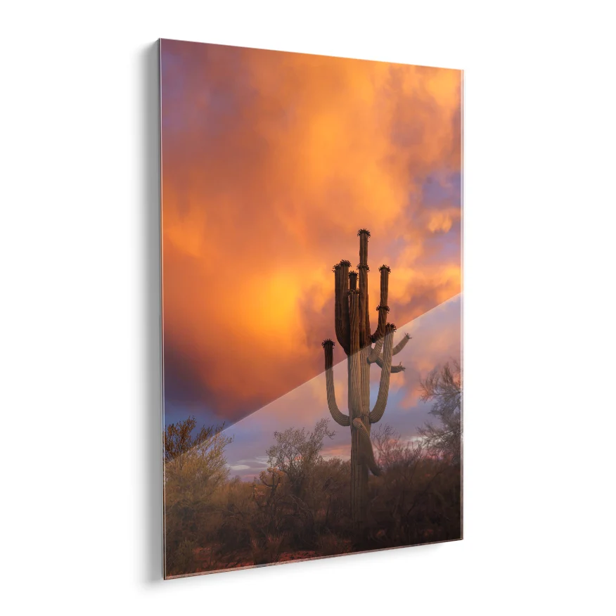 Saguaro al Atardecer Poster