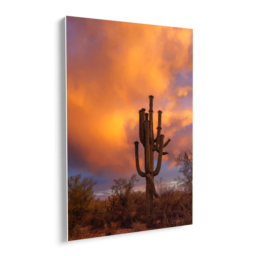 Saguaro al Atardecer Poster