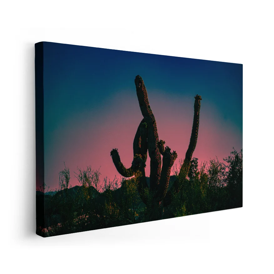 Saguaro al Atardecer Poster