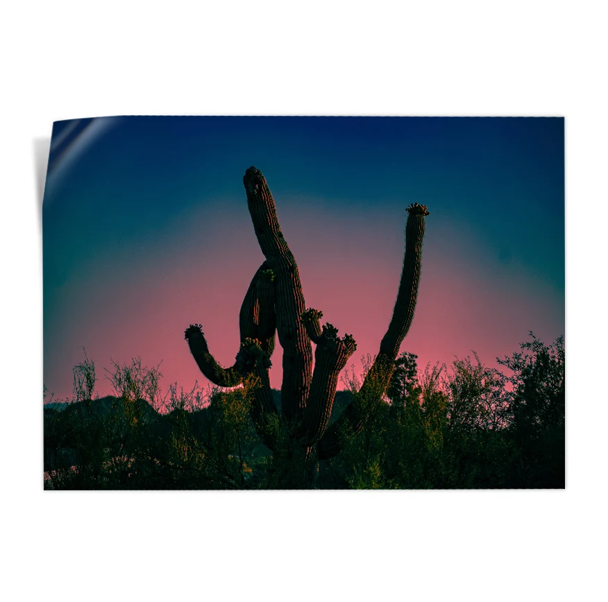 Saguaro al Atardecer Poster