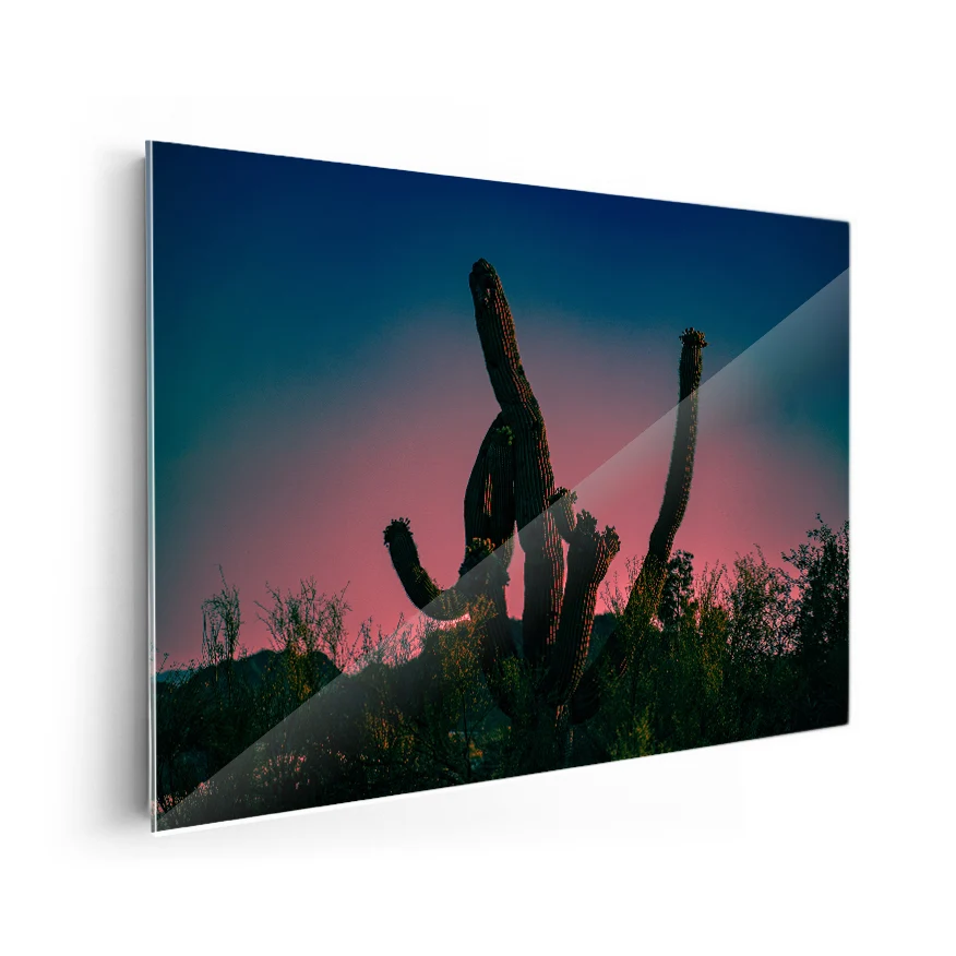 Saguaro al Atardecer Poster