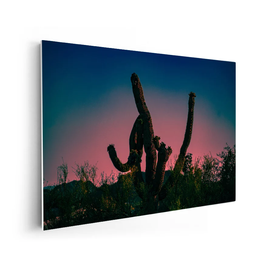 Saguaro al Atardecer Poster