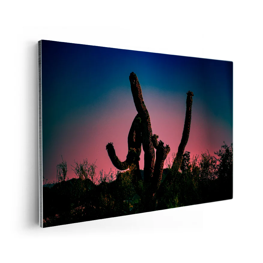 Saguaro al Atardecer Poster